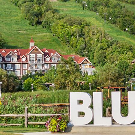 Blue Mtn Chalet With A Sauna, Sleeps 20 Blue Mountains Εξωτερικό φωτογραφία