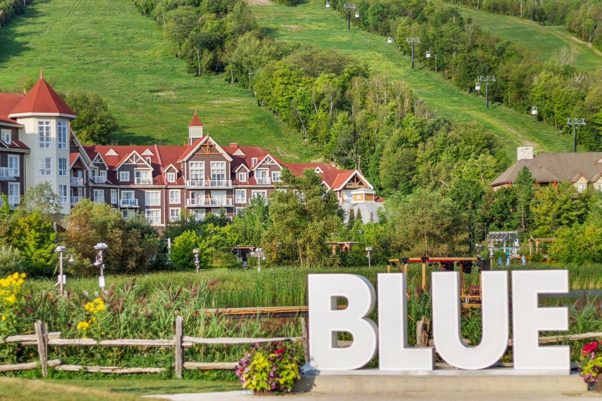 Blue Mtn Chalet With A Sauna, Sleeps 20 Blue Mountains Εξωτερικό φωτογραφία