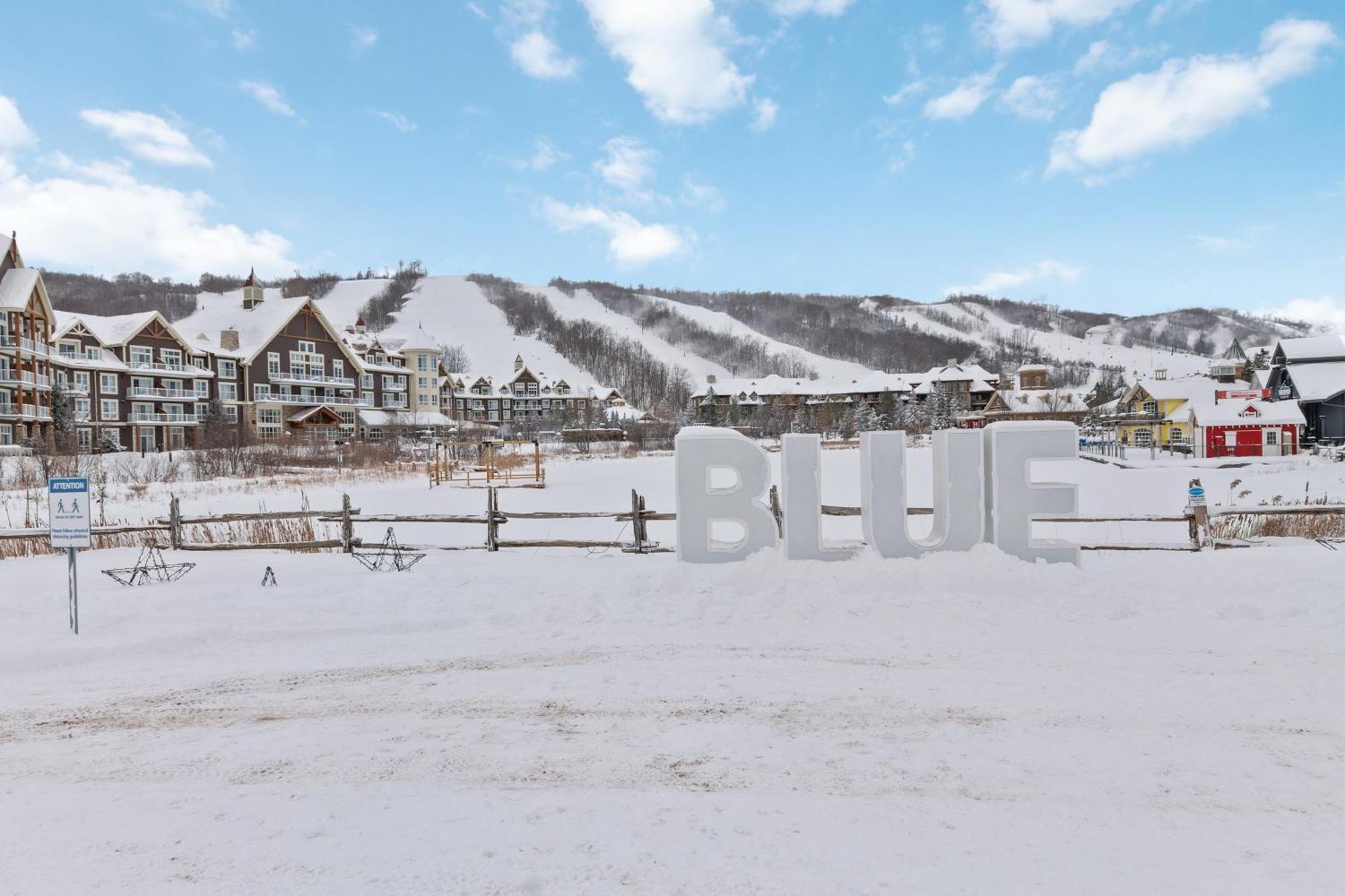 Blue Mtn Chalet With A Sauna, Sleeps 20 Blue Mountains Εξωτερικό φωτογραφία