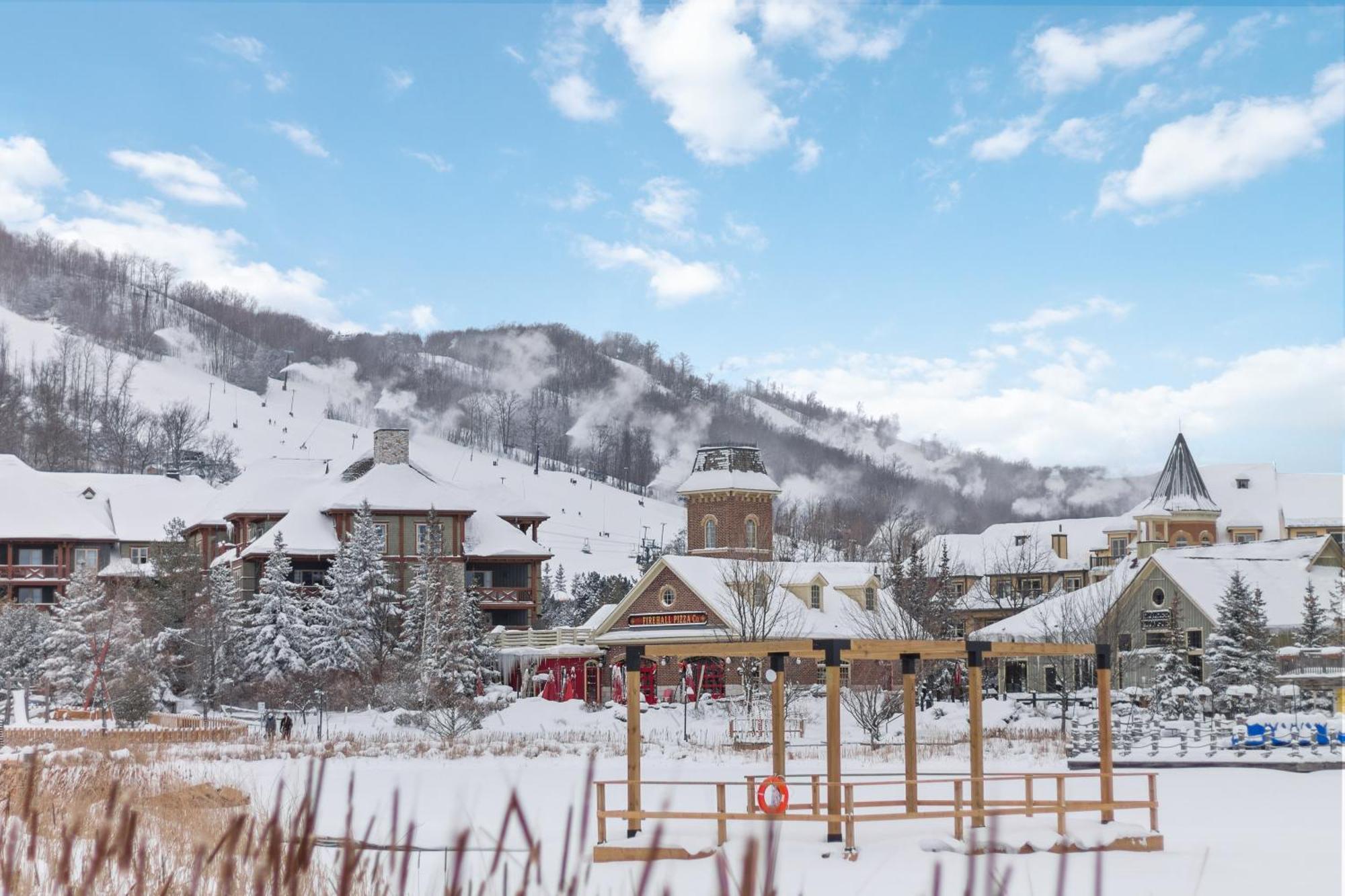 Blue Mtn Chalet With A Sauna, Sleeps 20 Blue Mountains Εξωτερικό φωτογραφία