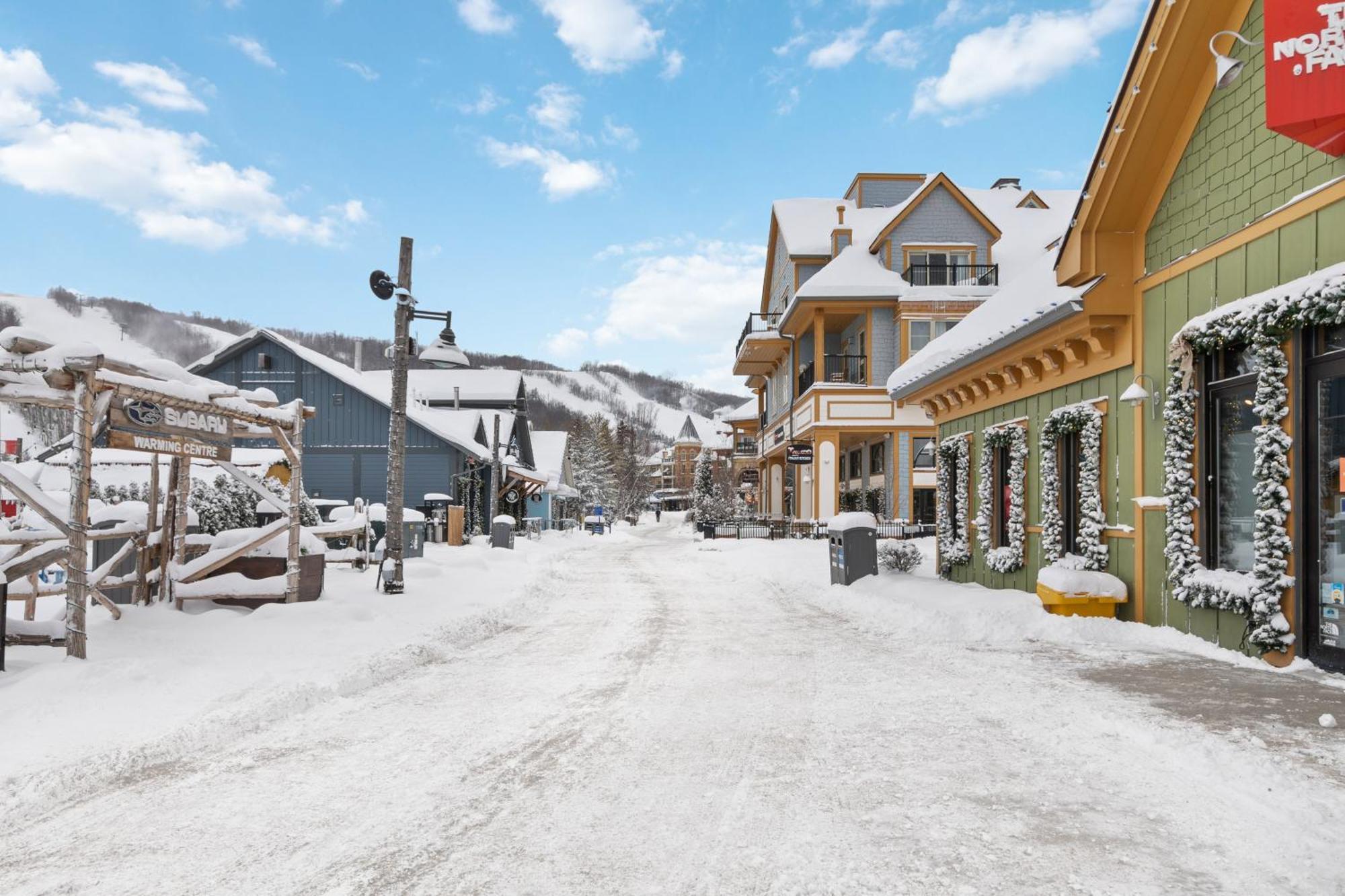 Blue Mtn Chalet With A Sauna, Sleeps 20 Blue Mountains Εξωτερικό φωτογραφία