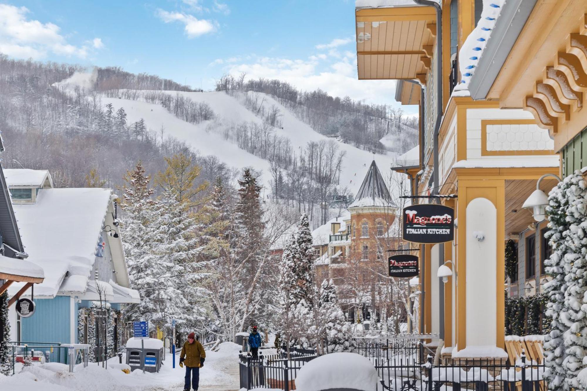Blue Mtn Chalet With A Sauna, Sleeps 20 Blue Mountains Εξωτερικό φωτογραφία
